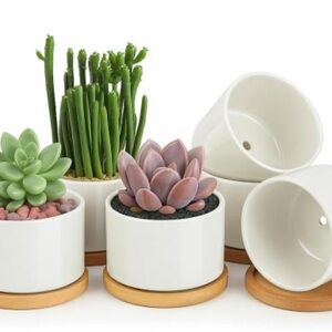 Elegant White Ceramic Planter Set with Bamboo Base